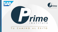 12. Aprovisionamiento de Stock en Consignacion.pdf